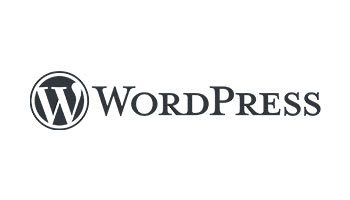 seo services for wordpress ecommerce websites