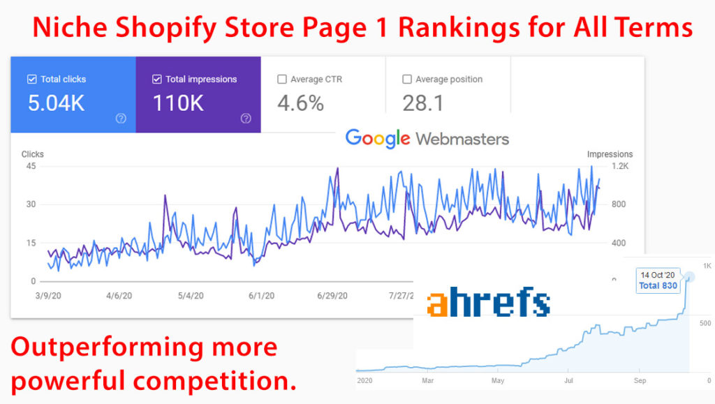niche shopify store page 1 rankings